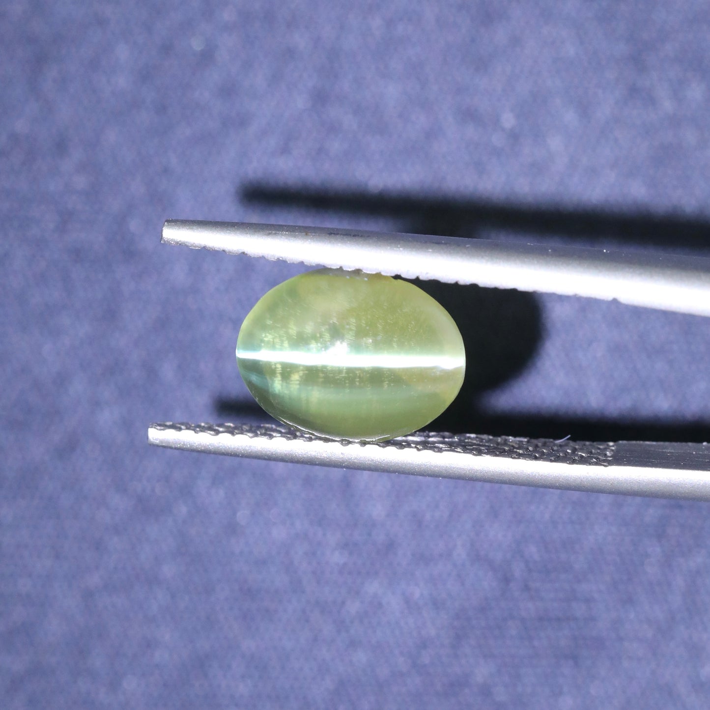 Neon Green Cat's Eye Chrysoberyl From Sri Lanka
