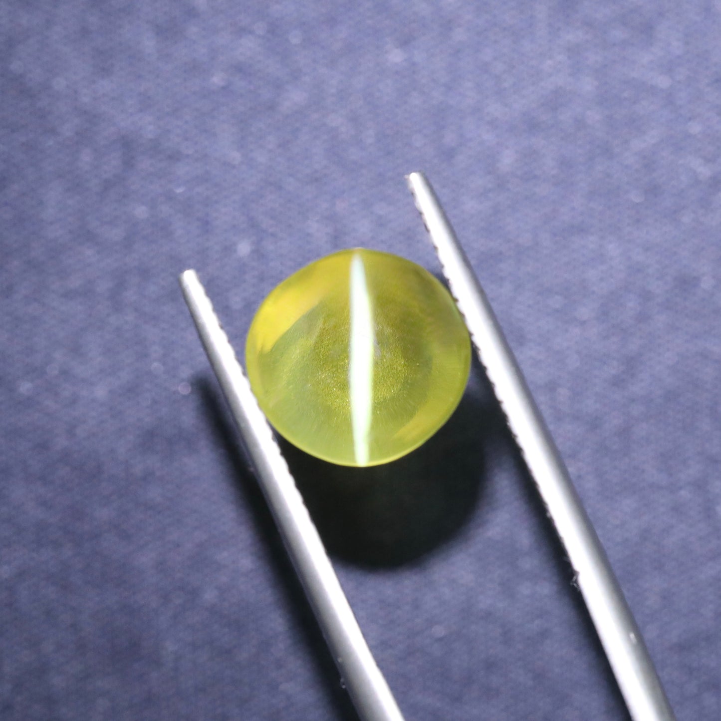 Neon Yellow Cat's Eye Chrysoberyl From Sri-Lanka