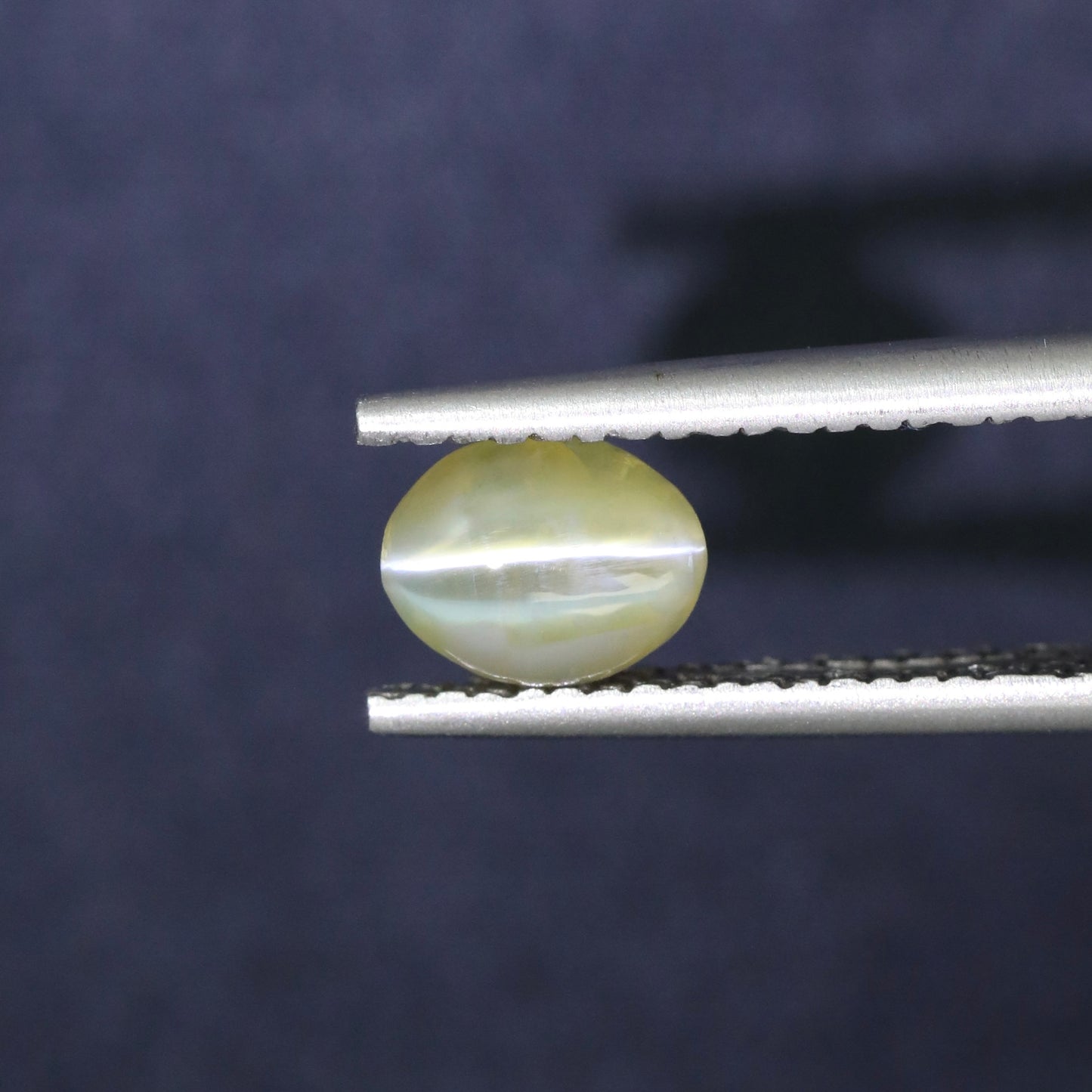 Yellow Cat's Eye Chrysoberyl From Sri-Lanka
