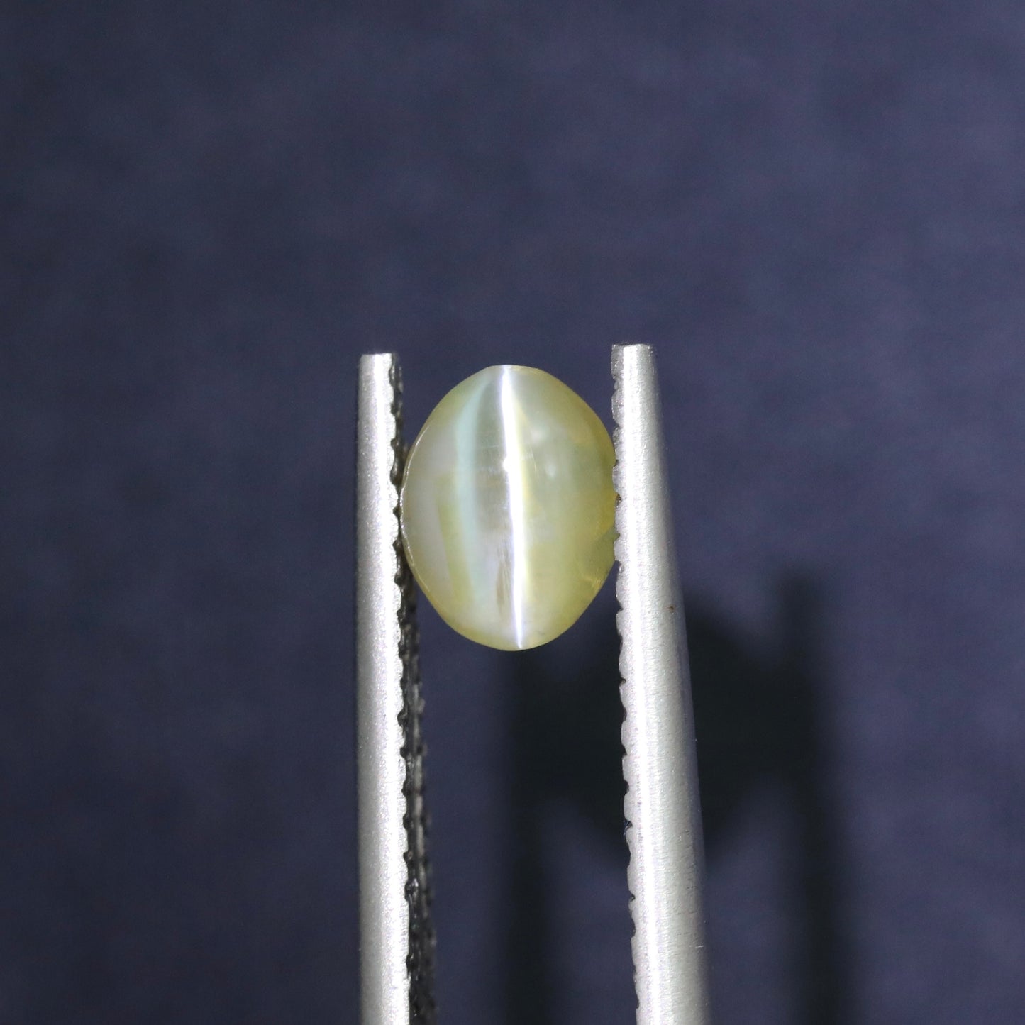 Yellow Cat's Eye Chrysoberyl From Sri-Lanka