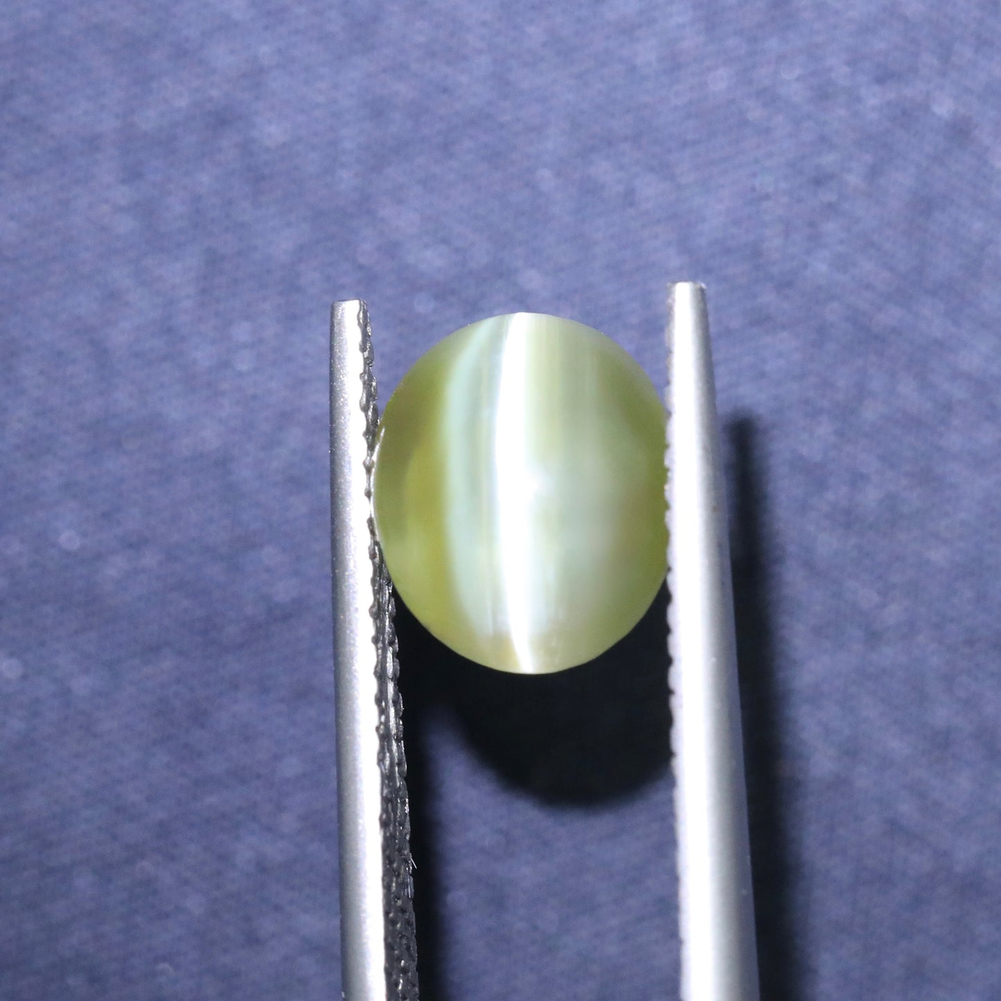 Neon Yellow/Green Cat's Eye Chrysoberyl From Sri-Lanka