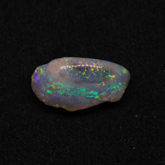 Opalised Clam Shell Fossil From Lightning Ridge, Australia
