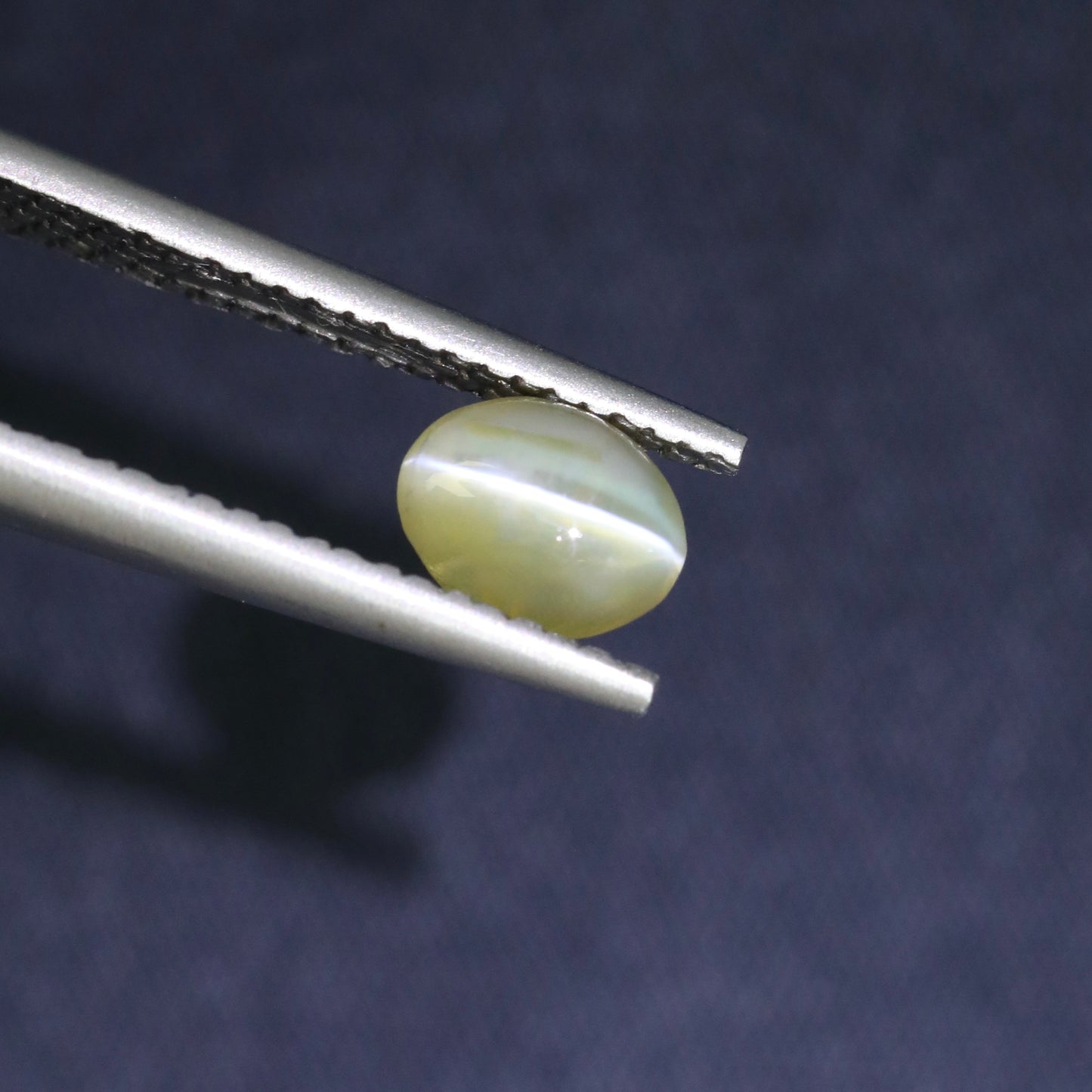 Yellow Cat's Eye Chrysoberyl From Sri-Lanka