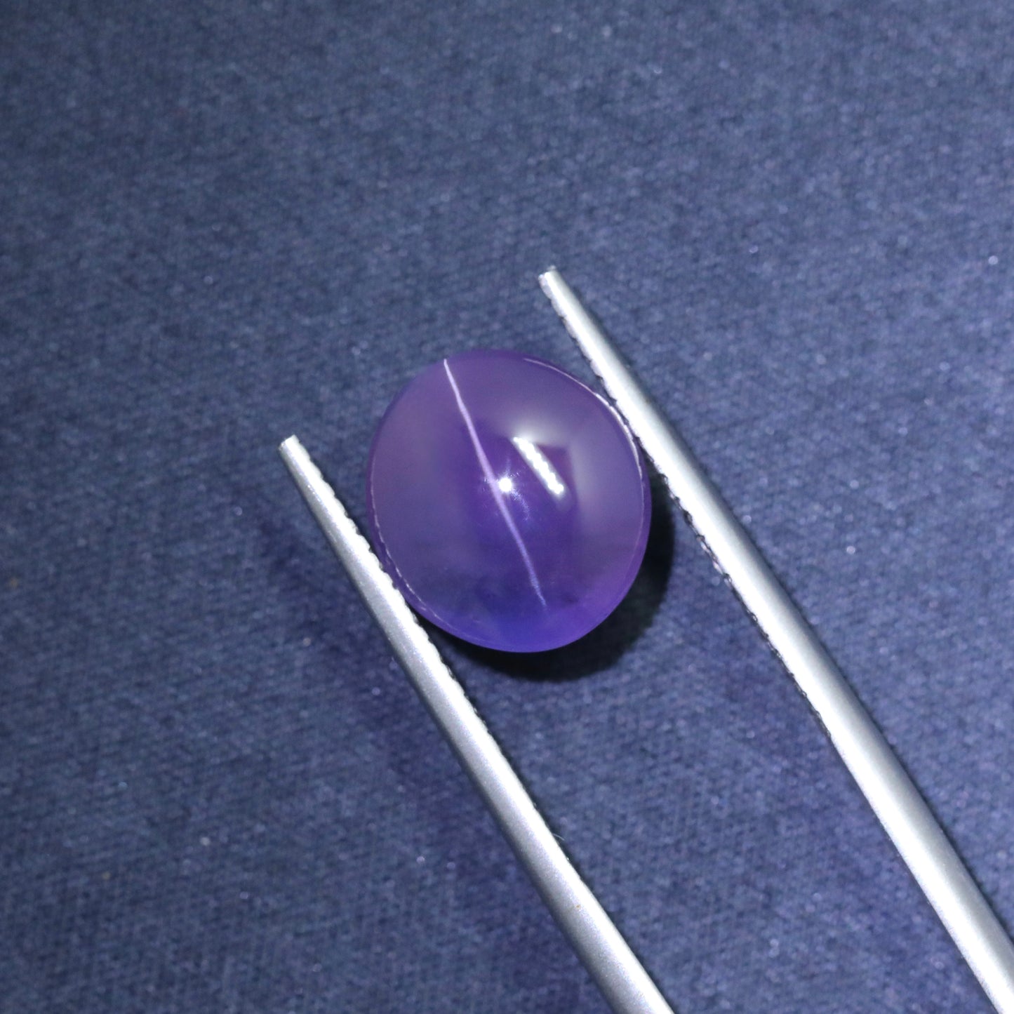 Unique Bicolor Cat’s Eye Sapphire From Sri-Lanka