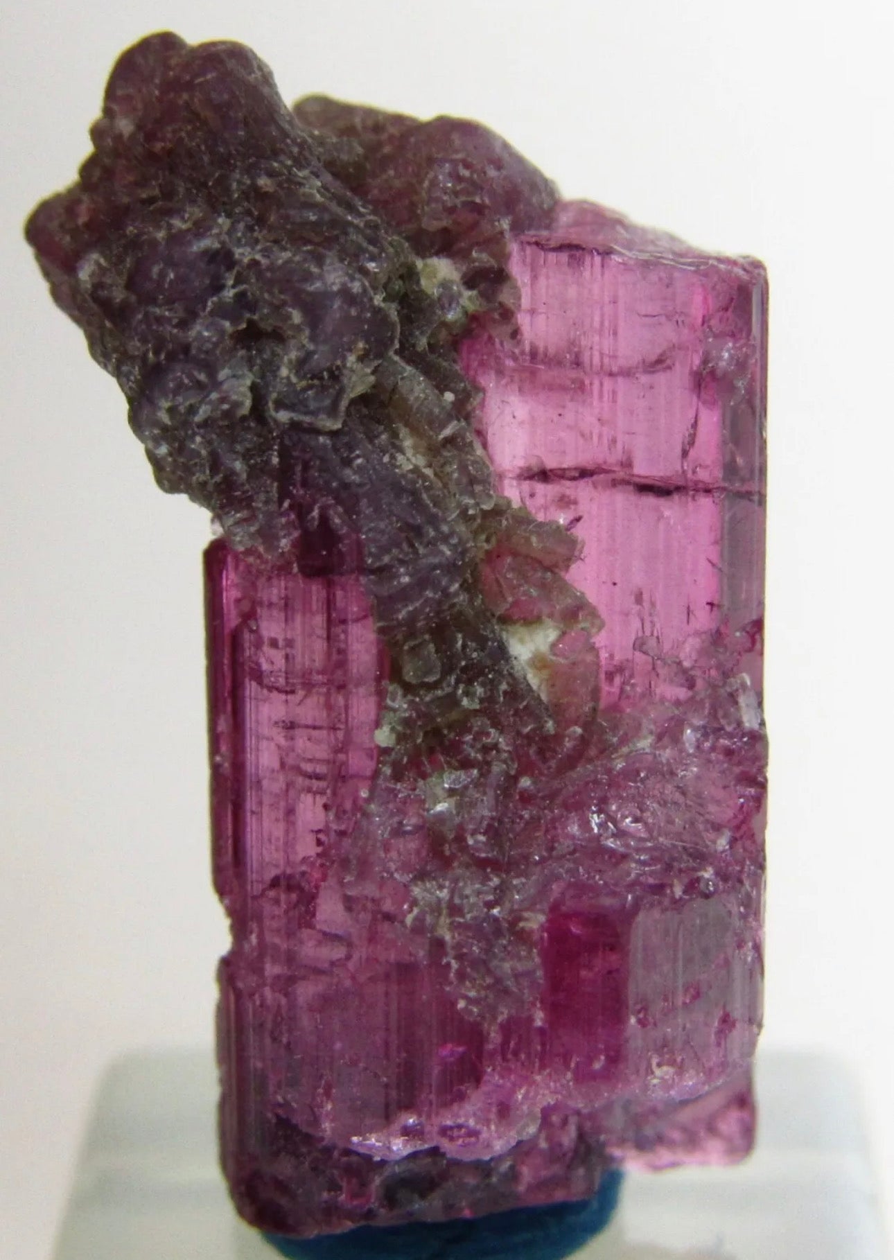Mesmerizing Rubellite Tourmaline Gem Crystal With Lepidolite From Brazil