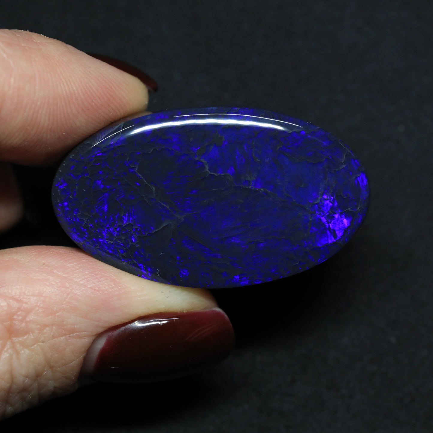 Black Opal Aka “Poseidon” From Lightning Ridge, Australia