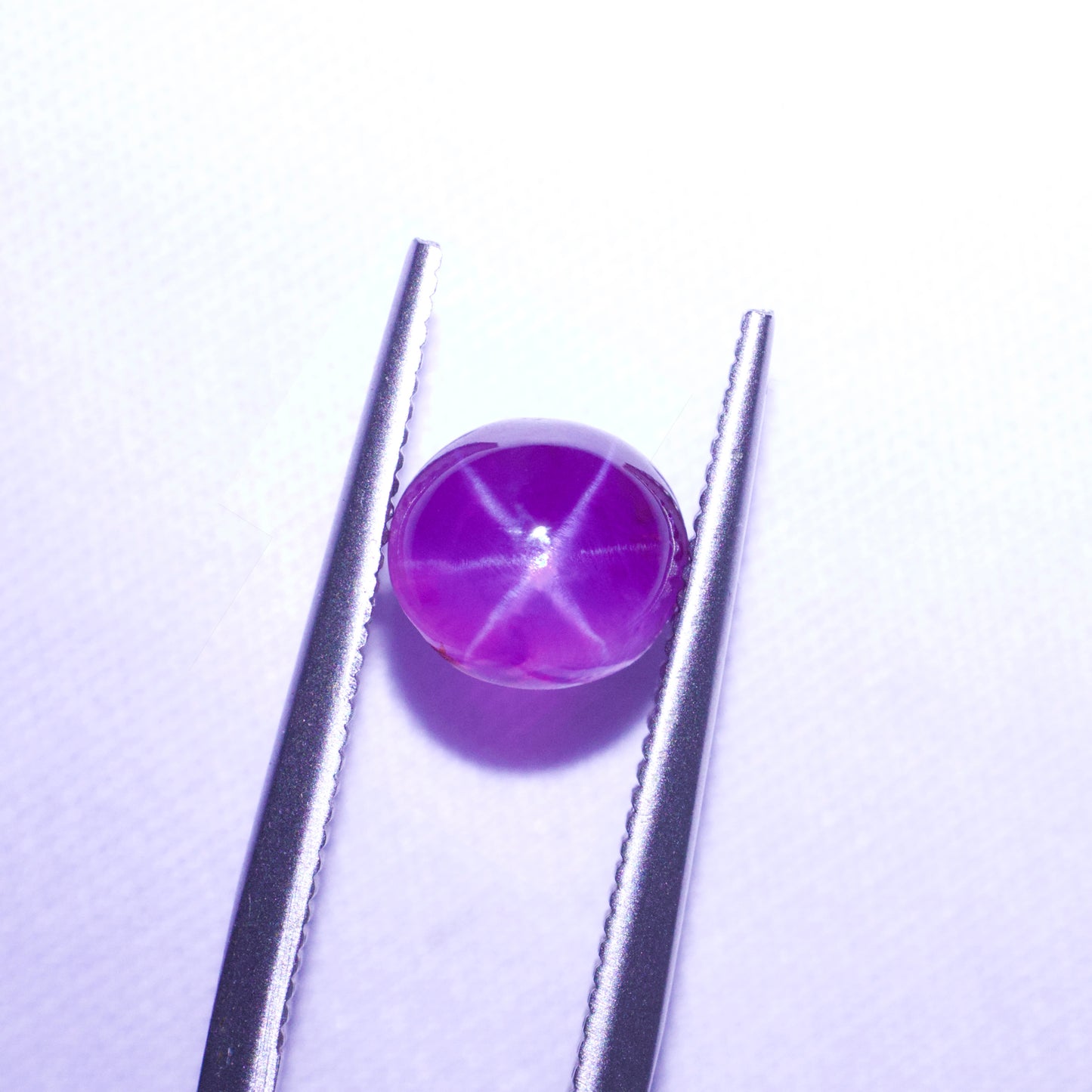 Natural Hot Pink/Purple Star Sapphire From Sri-Lanka