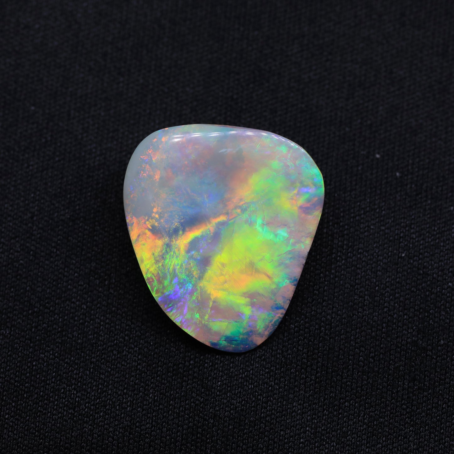 Crystal Opal Fossil From Lightning Ridge, Australia