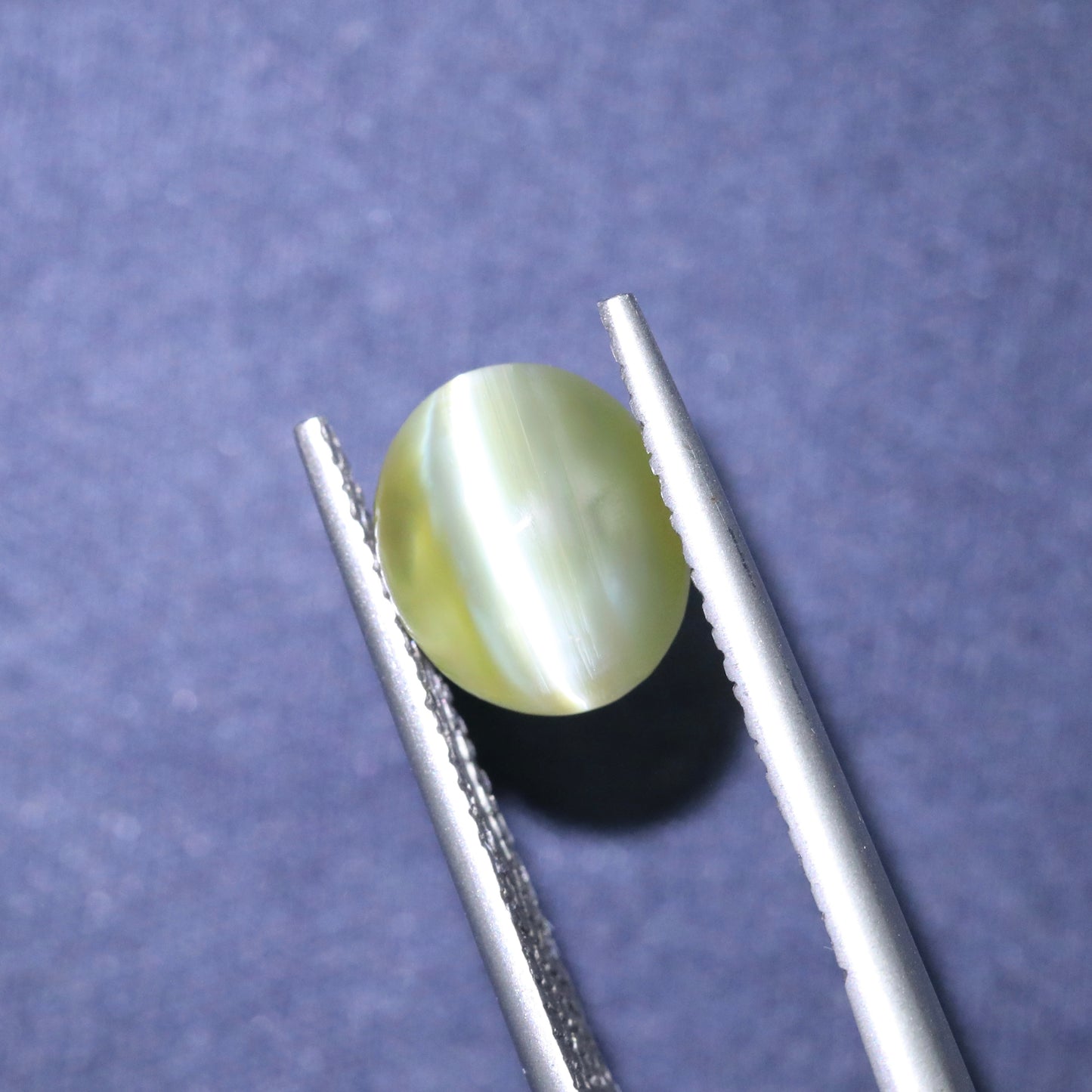Neon Yellow/Green Cat's Eye Chrysoberyl From Sri-Lanka