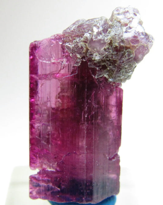 Mesmerizing Rubellite Tourmaline Gem Crystal With Lepidolite From Brazil