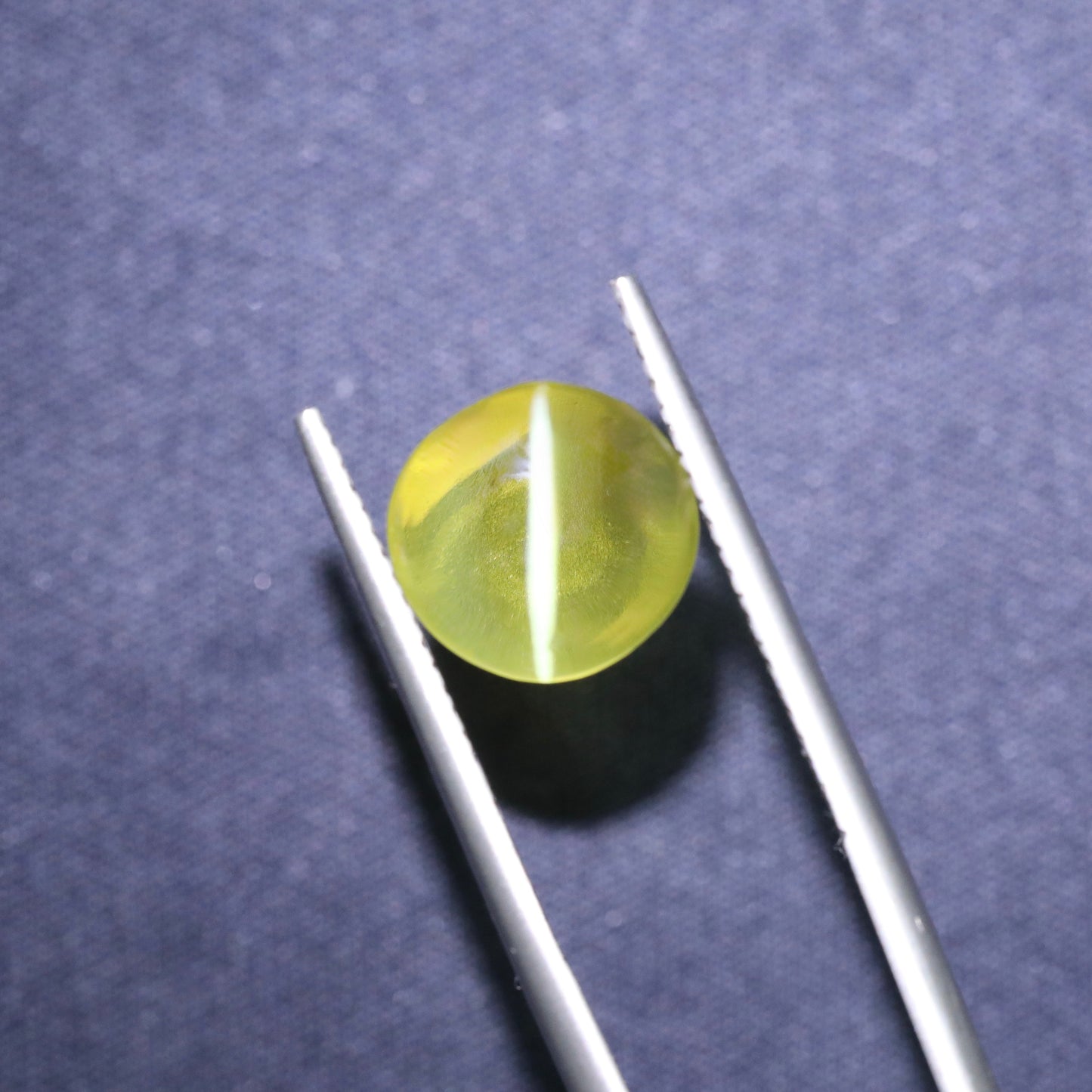 Neon Yellow Cat's Eye Chrysoberyl From Sri-Lanka