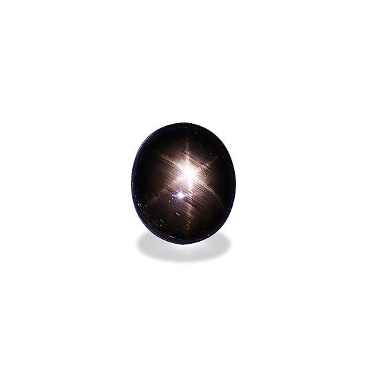 Black Star Sapphire From Sri-Lanka