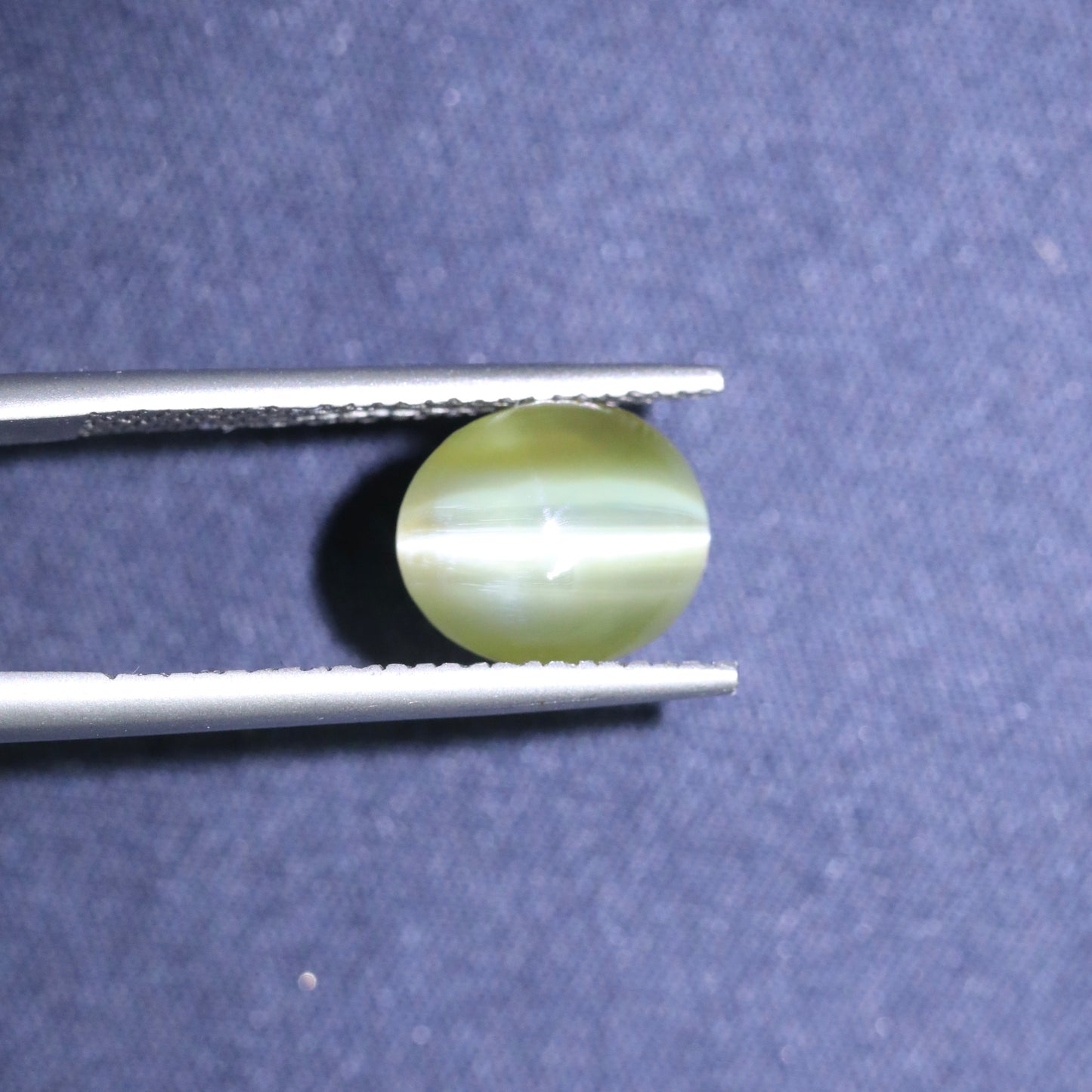 Neon Yellow/Green Cat's Eye Chrysoberyl From Sri-Lanka